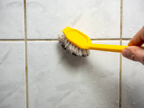 Best Insurance-Related Mold Remediation in Bayside Gardens, OR
