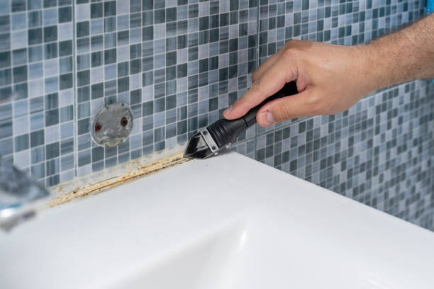 Professional Mold Remediation in Bayside Gardens, OR